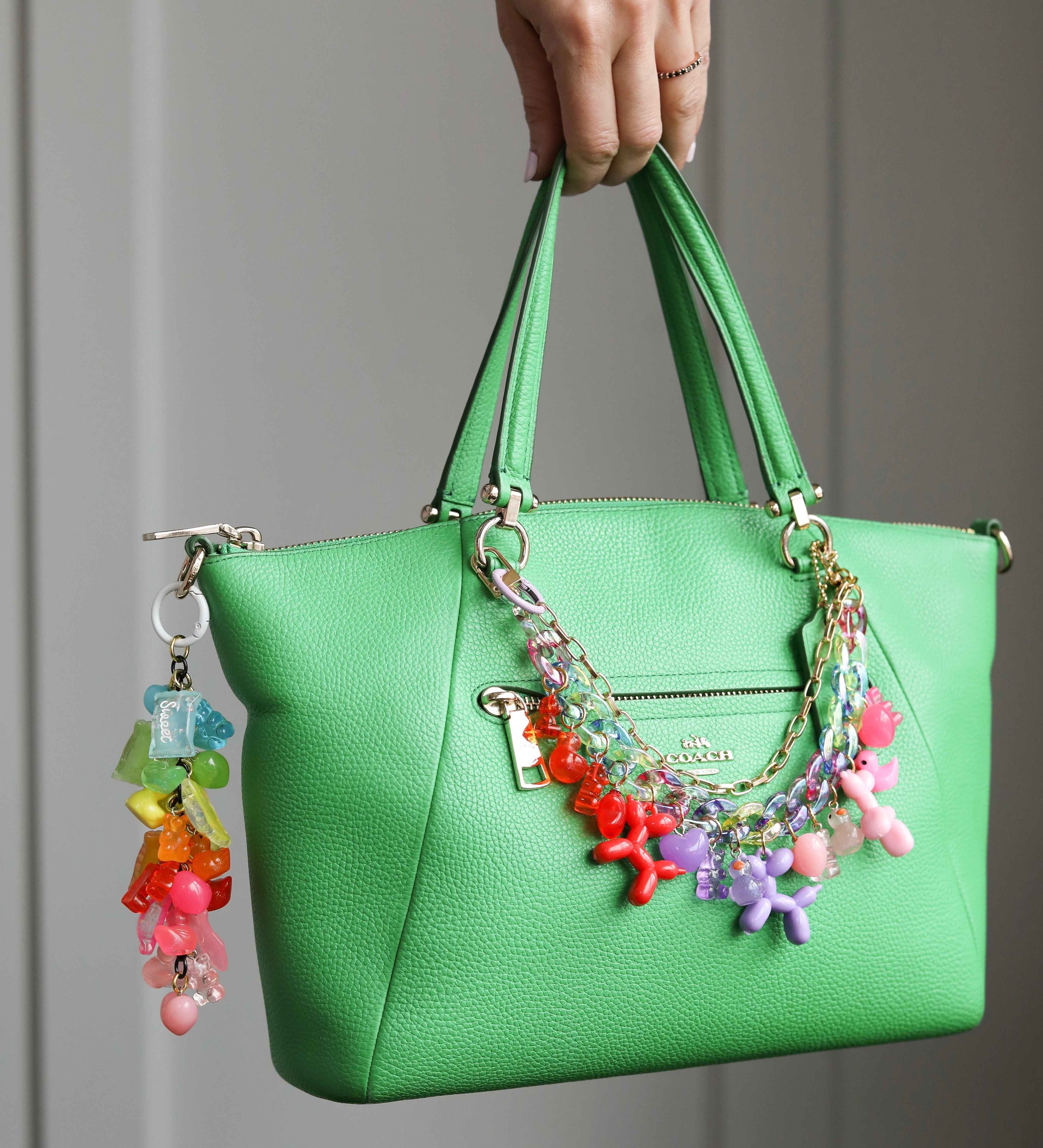 Rainbow Bag Charm Cluster